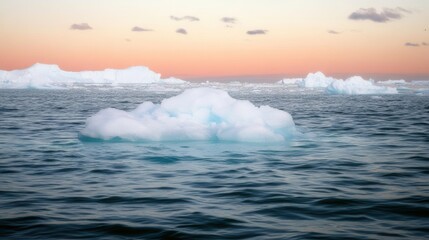 Wall Mural - Melting icebergs floating on the ocean at sunset: climate change