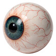 © woopics - Monster eyeball with veins isolated on a transparent background