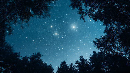 Wall Mural - Celestial Canvas:  A breathtaking nightscape unfolds, where a canopy of towering trees frames a mesmerizing display of twinkling stars, creating a sense of awe and wonder.