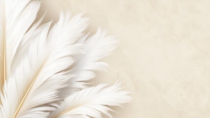Poster - Elegant white feathers arranged gracefully on a soft beige background, ideal for design use