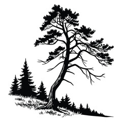 Tree silhouette Vector illustration
