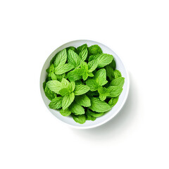 Wall Mural - mint leaves in a bowl isolated on transparent background