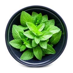 Wall Mural - mint leaves in a bowl isolated on transparent background