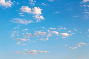 Wall Mural - blue sky with many clouds on a sunny august morning. fluffy formations in bright weather. dynamic ar