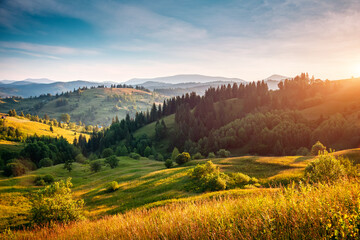 Aufkleber - Breathtaking expanses of green hills and pastures in the countryside. Carpathian mountains, Ukraine, Europe.