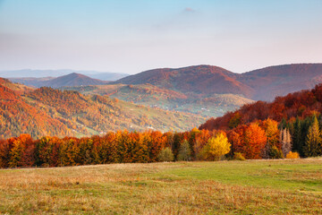 Aufkleber - Colorful autumn landscape of hilly countryside and small houses on the hillside. Carpathian mountains, Ukraine, Europe.