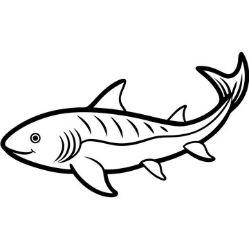 Minimal Greenland Shark Vector Illustration on White Background