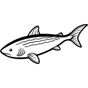 Minimal Greenland Shark Vector Illustration on White Background