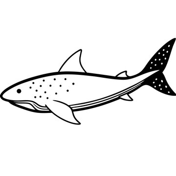 Minimal Greenland Shark Vector Illustration on White Background