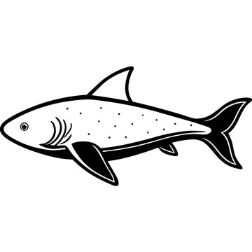 Minimal Greenland Shark Vector Illustration on White Background