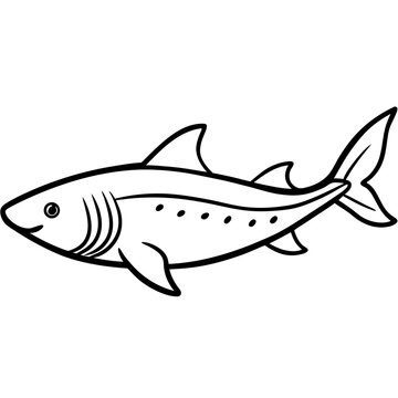 Minimal Greenland Shark Vector Illustration on White Background