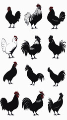 Poster - Minimalist Rooster Silhouette SVG Vector Collection for Graphic Design Projects