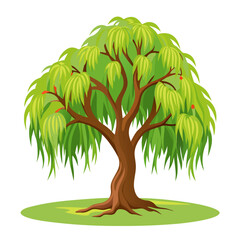 Poster - This illustration features a stunning willow tree with graceful branches that drape down, adorned with vibrant green leaves. The flat vector design highlights the natural beauty of the tree