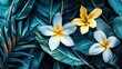 © Hendra - Plumeria Flowers on Tropical Leaves Dark Teal Green Floral Background