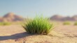 © arsya - view of fresh green grass in the middle of the desert