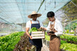 © Nuttapong punna - Asian farmer using hand holding tablet and organic vegetables hydroponic in greenhouse plantation. male hydroponic salad vegetable garden owner working.