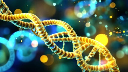 Leinwandbilder - Network of colorful connections illuminated over spinning DNA strands in a dynamic display, network of connections over dna strand spinning