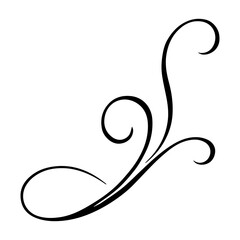 Poster - Graceful calligraphic swirl ornament, perfect for vintage design and invitations