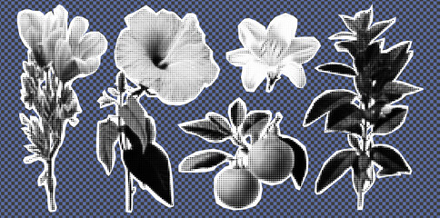Poster - Vintage Collage Kit with Orange and Blue Rose Cutouts Grunge Flower and Plant Elements for Retro Summer Art and Design Graphic Floral Illustration Concepts.