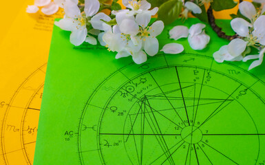 Wall Mural - Printed green and yellow astrology charts with small, white, and fragile spring flowers and green leaves in the background