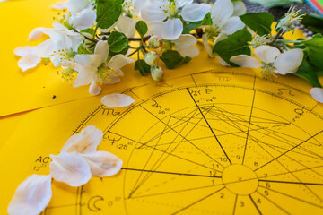 Wall Mural - Printed yellow astrology chart with small, white, and fragile spring flowers and green leaves in the background