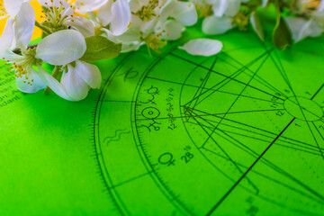 Wall Mural - Printed green astrology chart with small, white, and fragile spring flowers and green leaves in the background