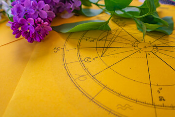 Wall Mural - Printed yellow astrology chart with spring lilac flowers and green leaves in the background
