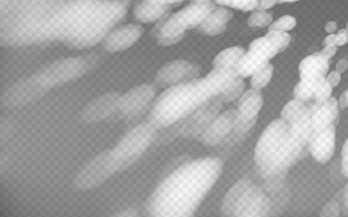 Wall Mural - abstract shadow overlay from foliage on a transparent background.