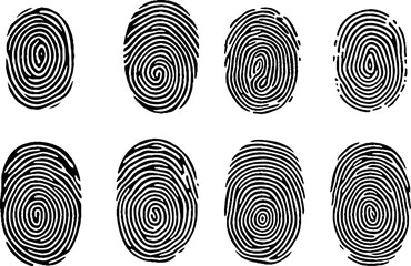 collection of fingerprints, items on vector illustration isolated on white background