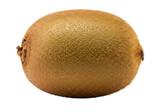 A whole kiwi fruit, viewed from above, its fuzzy brown skin contrasting against the crisp white background