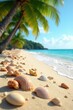 © OneWayPhoto - Seashells and driftwood scattered on warm sandy beach under palm trees, shells, tropical, beach