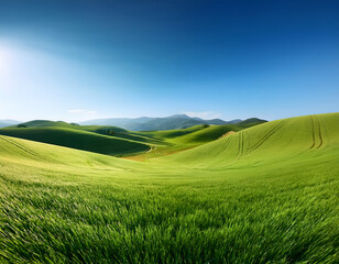 Poster - Lush green rolling hills under a clear blue sky, creating a serene and picturesque landscape