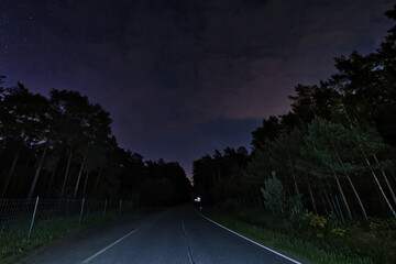 Wall Mural - night road in the forest