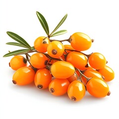 Poster - Close-up view of a bunch of ripe sea buckthorn berries on a white background. Ripe Sea Buckthorn Berries with Leaves Isolated on a white background.