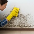 © organik - Close-up of a woman's hand washing the wall from mold with a sponge and cleanser, copy space