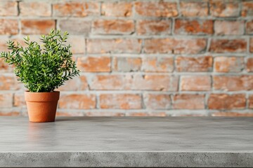 Aufkleber - Empty concrete table with small potted plant against brick wall background