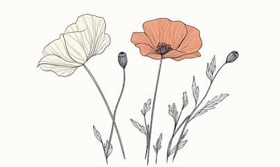Poster - Minimalist Poppy Flower Line Art Vector Illustration for Botanical Decor and Design
