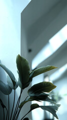 Poster - Green plant leaves against a light wall, showcasing a minimalist interior design concept emphasizing natural elements and serenity