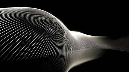 Poster - Minimalistic black and white line pattern creating rhythmic motion in an optical illusion style