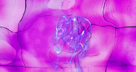 Poster - Image of moving glowing lights and waves over pink background