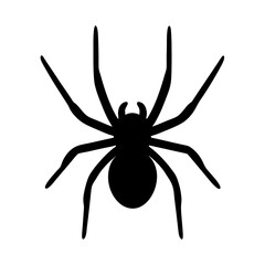 spider animal black silhouette icon - designs for jungle animals spider safaris, wildlife, rainfores