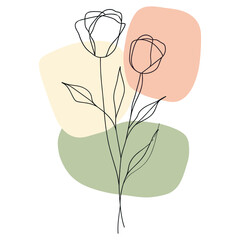 Wall Mural - abstract rose line art drawing minimalist background vector
