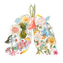 Wall Mural - flower lungs png sticker, aesthetic illustration, transparent background