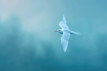 Poster - minimalist depiction of lone bird in flight soft brush strokes defining its wings delicate movement against pale sky