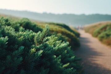 Poster - serene nature reserve with blurred people in background emphasizing tranquility and space