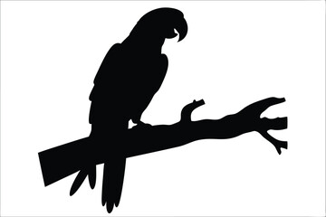 parrot on tree branch black silhouette, parrot stand tree branch black vector