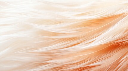 Poster - Delicate strands of fabric create a gentle flow with warm peach and cream hues, perfect for enhancing any visual project or background setting