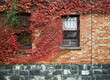 © Austockphoto - Vines growing over a heritage brick and bluestone building