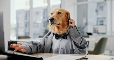 Poster - Phone call, laptop and research with business dog in office for pet ambassador, contact and consultant. Animal welfare, communication and schedule vet appointments with golden retriever in agency
