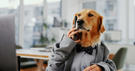 Poster - Phone call, planning and consultant with business dog in office for pet insurance agent, health premium and advisor. Veterinary claims broker, contact and animal policy with golden retriever